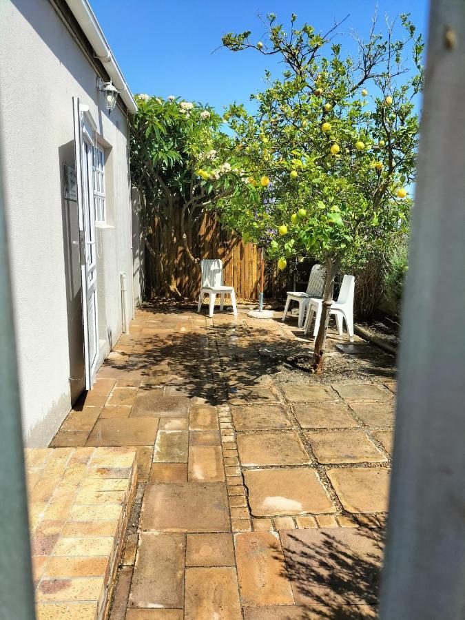 Lemon Tree Cottage Edgemead Exteriér fotografie