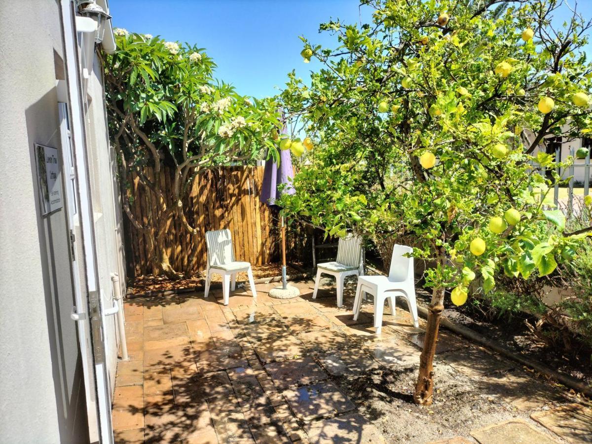 Lemon Tree Cottage Edgemead Exteriér fotografie