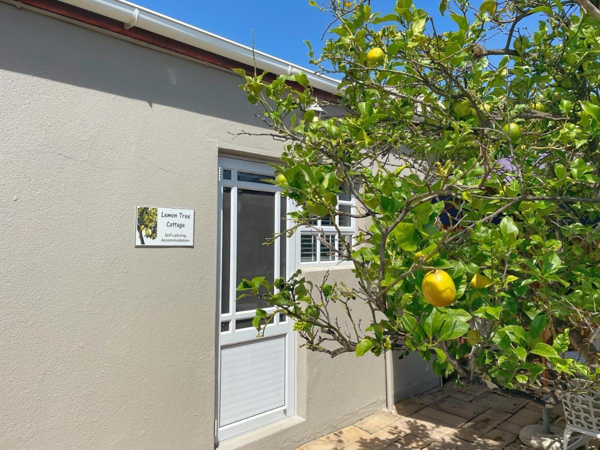 Lemon Tree Cottage Edgemead Exteriér fotografie