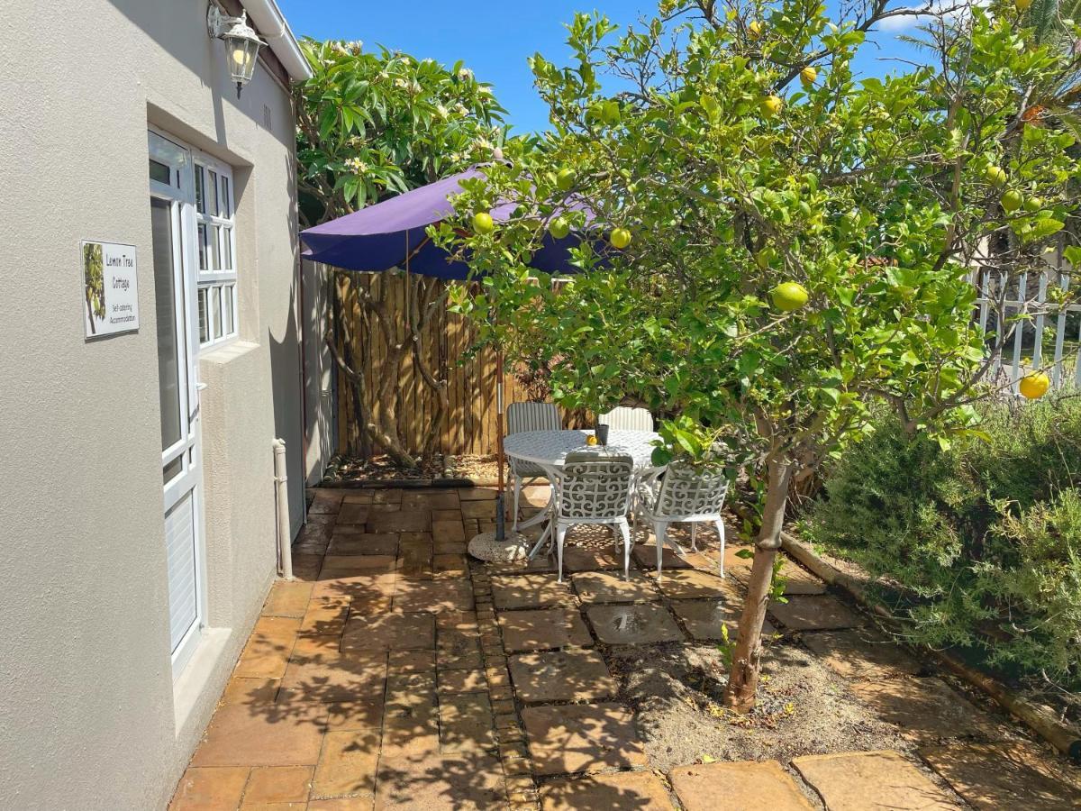 Lemon Tree Cottage Edgemead Exteriér fotografie