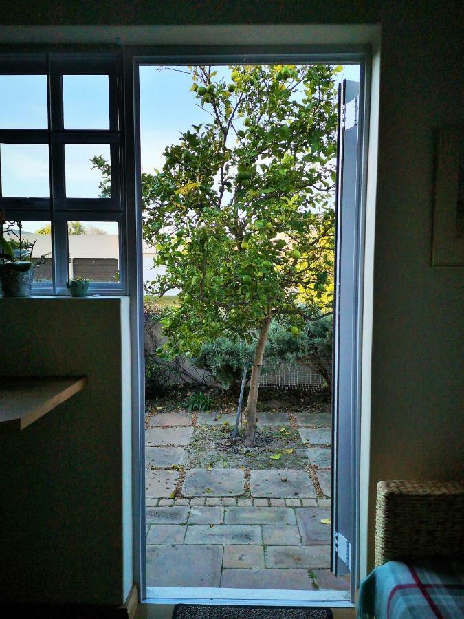 Lemon Tree Cottage Edgemead Exteriér fotografie